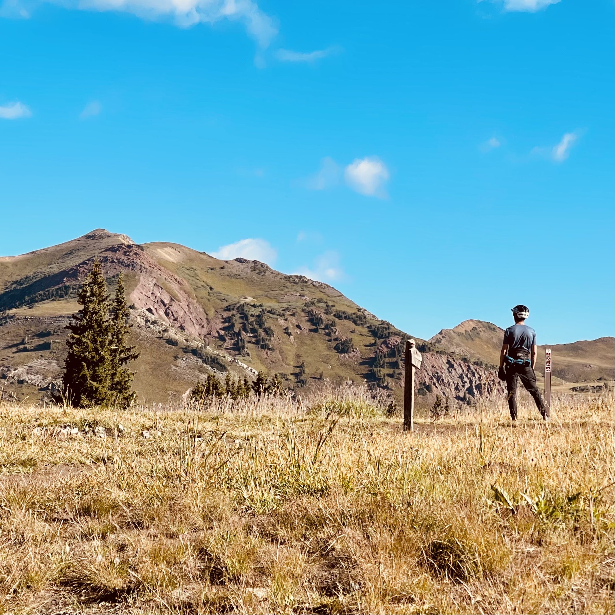 A hiker standing in a high meadow under a blue sky
